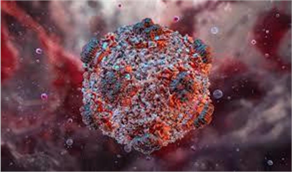 hantavirus has not yet reached the stage of a global pandemic