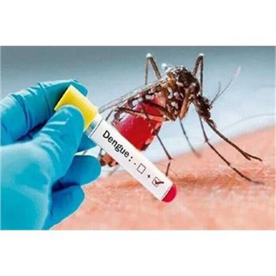 Dengue